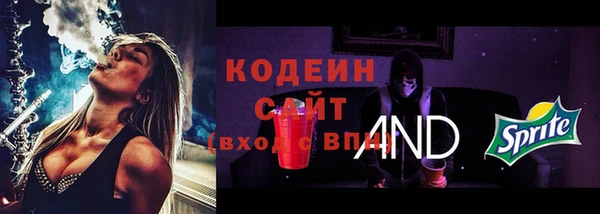стаф Кулебаки