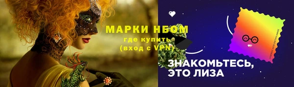 стаф Кулебаки
