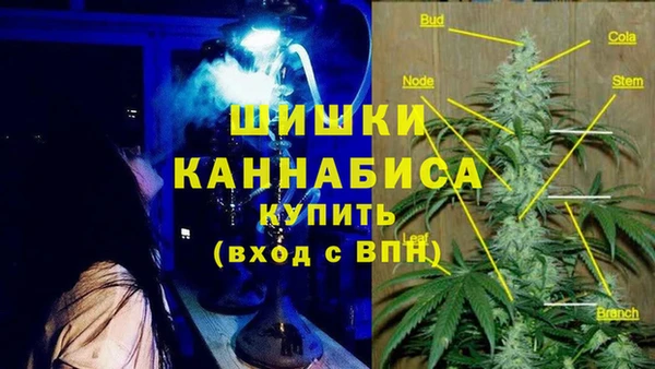 spice Новосибирск