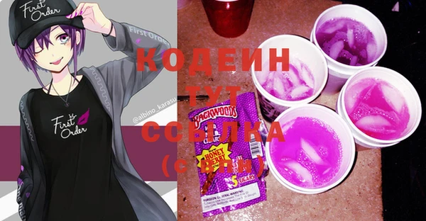 стаф Кулебаки