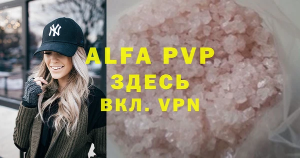 стаф Кулебаки
